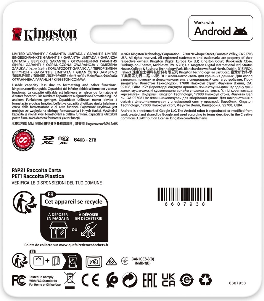 Kingston Canvas Go! Plus 1 TB microSDXC