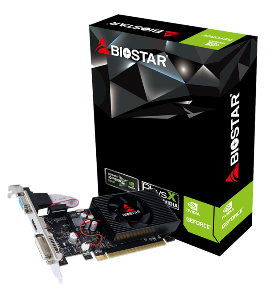 Biostar VN7313TH41 Grafikkarte GeForce GT 730 4 GB GDDR3