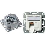 Telegärtner AMJ45 8/8 K UP/50 Cat.6+ (J00020K0376)