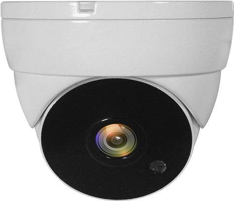 LevelOne ACS-5302 CCTV Sicherheitskamera Innen & Außen Kuppel Zimmerdecke (ACS-5302)