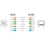DeLOCK Netzwerkadapter (66316)
