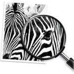 HP 912XL 21.7 ml Hohe Ergiebigkeit (3YL84AE)