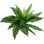 EUROPALMS Boston Farn, Kunstpflanze, 53cm (82519934)