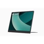 LG gram+view 43.2cm 17" 16 10 IPS WQXGA Monitor USB-C [Energieklasse D] (17MT70.ASDWU)