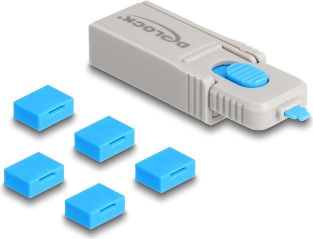 DeLOCK 20923 Schnittstellenblockierung Schnittstellenblockierung + Schlüssel USB Typ-A Blau - Grau Kunststoff 6 Stück(e) (20923)