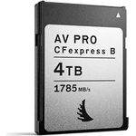 Angelbird Technologies AV PRO CFexpress MK2 Type B 4,1 TB (AVP4T0CFXBMK2)
