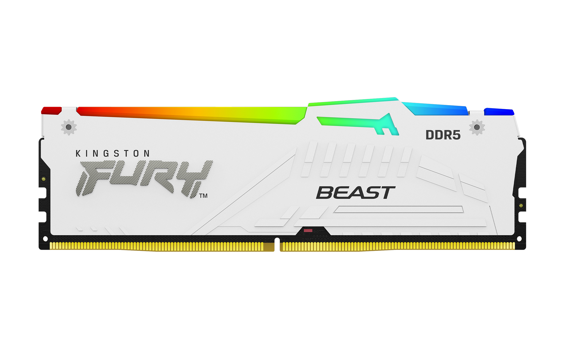 Kingston FURY Beast RGB 32 GB RAM DDR5 5600 MT/s CL36 DIMM Kit (2x 16 GB) Weiß