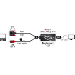 DeLOCK Videokonverter (62596)
