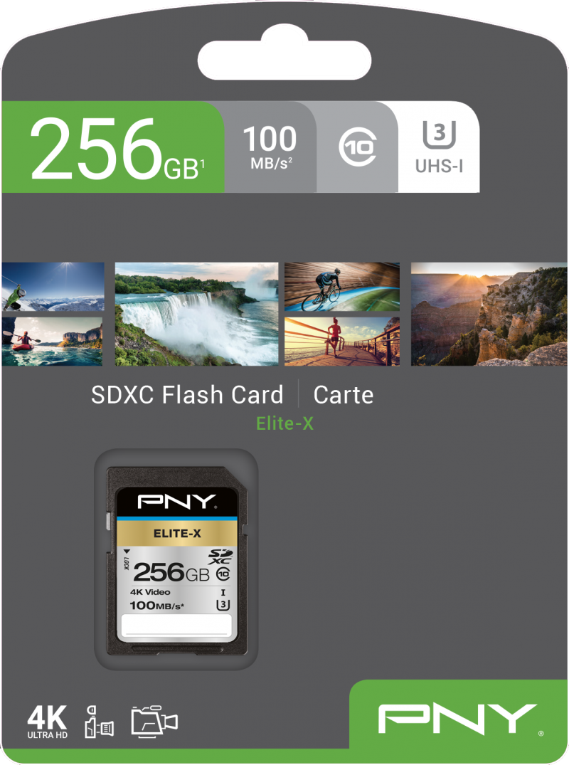 PNY Technologies MICRO SD ELITE-X HC 256GB SDHC CLASS 10 UHS-I U3 100 MB/S (P-SD256U3100EX-GE)