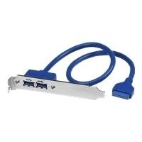 StarTech.com 2 Port USB3.0 A Buchse Slotblech Adapter (USB3SPLATE)