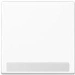 Jung Wippe mit Schriftfeld 1fach, alpinweiß A 590 BF NA WW (A590BFNAWW)