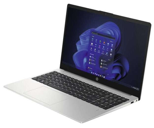 HP 250 G10 15,6" Notebook Intel N100 8 GB RAM 256 GB SSD Silber