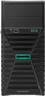 HPE ProLiant ML30 Gen11 (P81773-425)