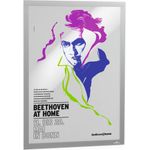 DURABLE Info-Rahmen DURAFRAME® POSTER A2 1 ST 505323