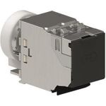 Rutenbeck UM-Cat.6A iso 25/10G 25GB-Uni- versalmodul geschirmt 13900310 (13900310)