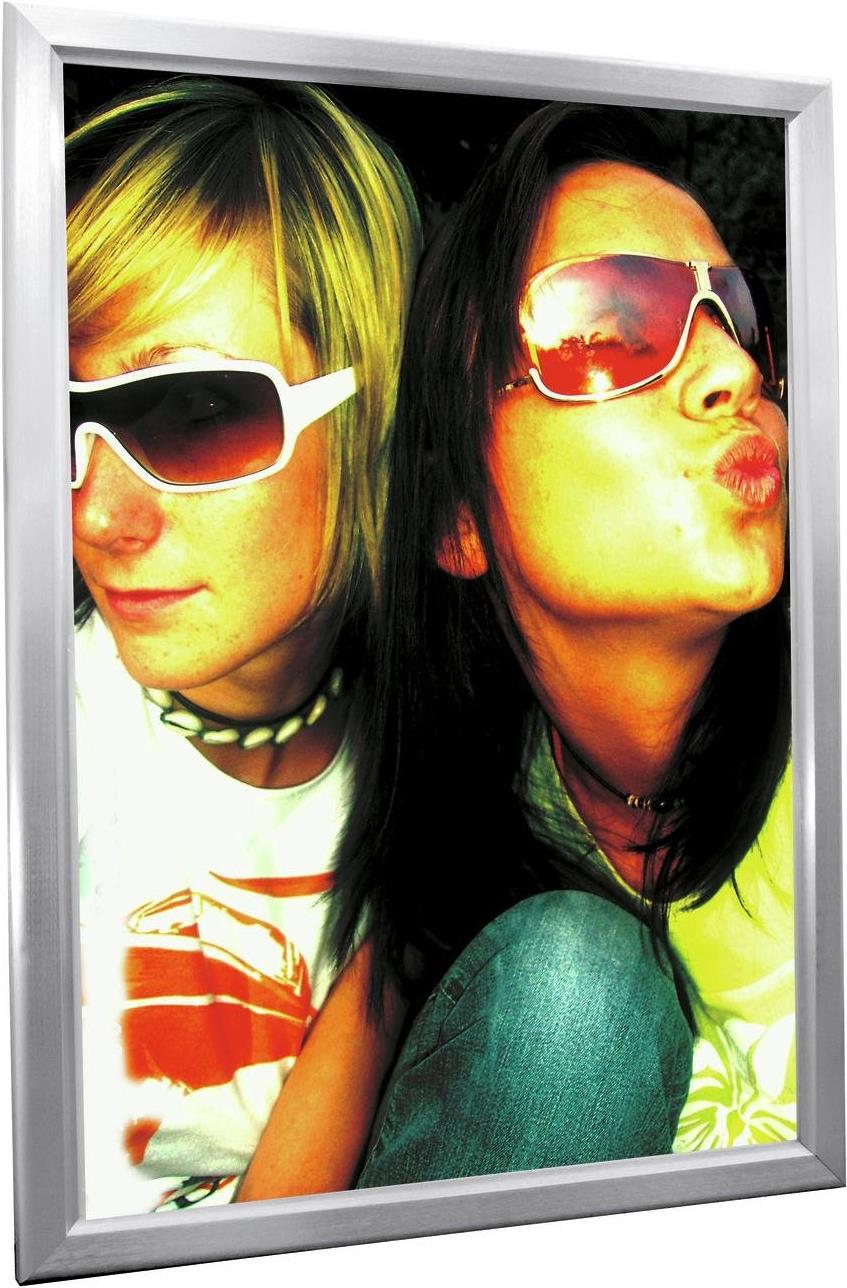 EUROPALMS Reklamewand A0, beleuchtet, aluminium (83331753)