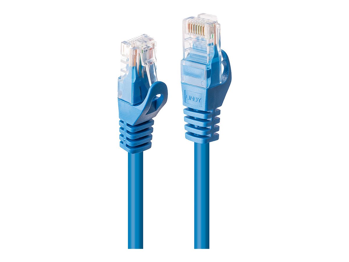Lindy Basic Patch-Kabel RJ-45 CAT 6 UTP 0,3 m Blau