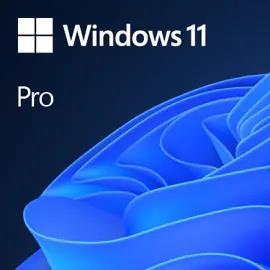 Microsoft Windows 11 Pro - Lizenz - 1 Lizenz - ESD - 64-bit, National Retail - alle Sprachen (FQC-10572)