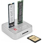 Delock SSD-Dockingstation Schächte: 2 (64138)