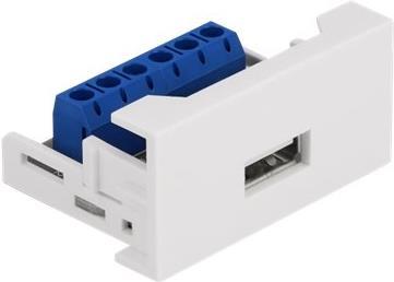 Delock Easy 45 Einrastmodul (81343)