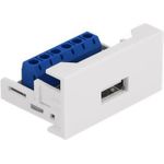 Delock Easy 45 Einrastmodul (81343)