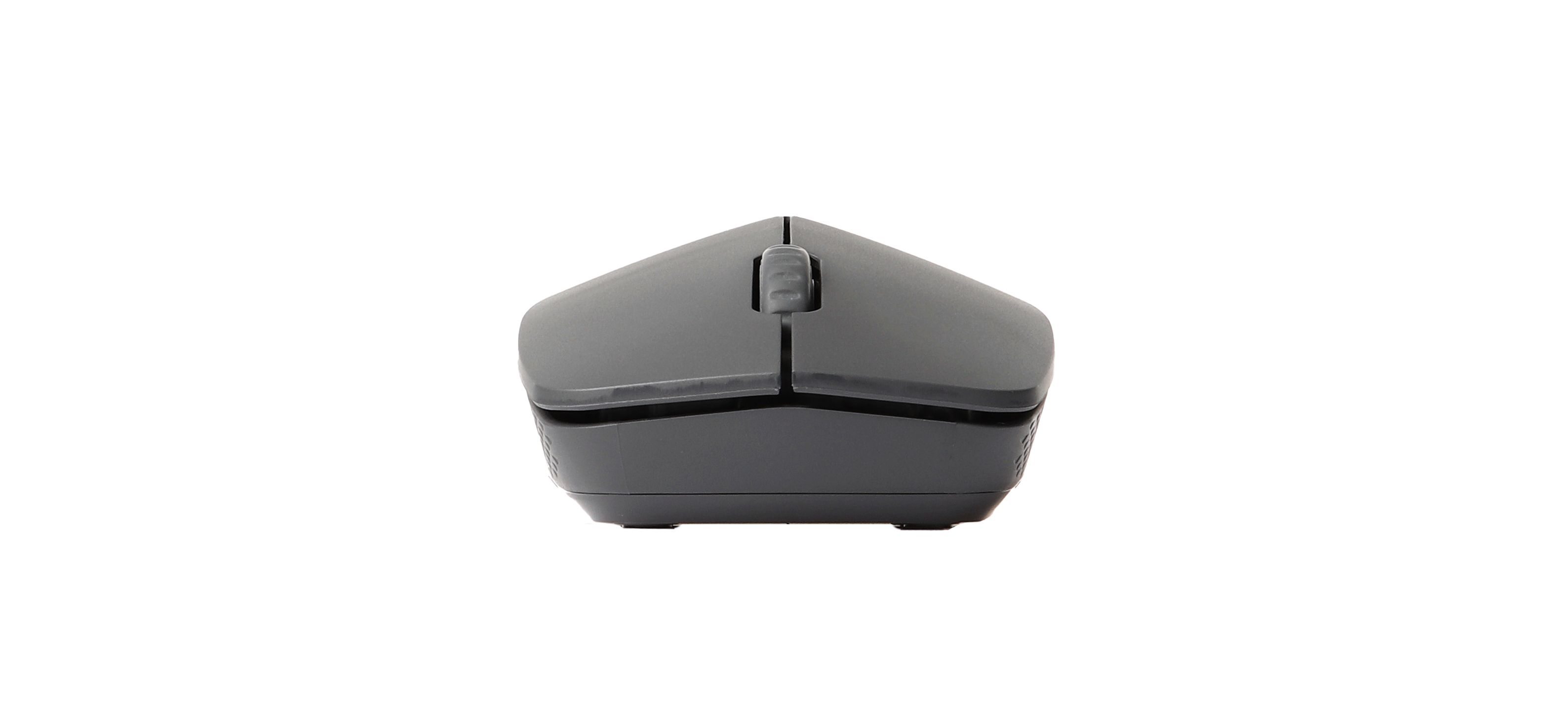Rapoo M100 Kabellose Maus 2.4 GHz Bluetooth Schwarz