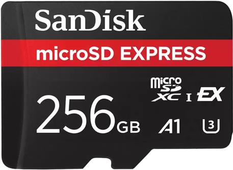 SanDisk Express Flash-Speicherkarte (SDSQXFN-256G-GN4NN)