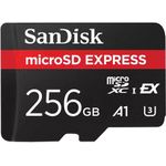 SanDisk Express Flash-Speicherkarte (SDSQXFN-256G-GN4NN)