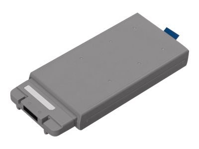 Panasonic Toughbook Ersatzakku FZ-VZSU1XU für TOUGHBOOK 40, 6800 mAh, Grau