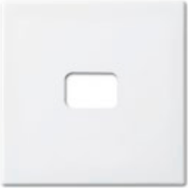 BUSCH-JAEGER Wippe offen für Symbol 2520-914 Busch-balance SI alpinweiss 2520-914 (1731-0-2008)