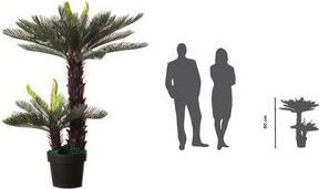Kunstpflanze Zycas (PACYC80)