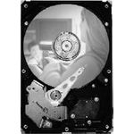 Seagate DB35 Series DB35 7200.3 250GB SATA 3Gb/s 3.5"  Serial ATA II (ST3250820SCE)