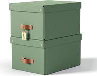 Esselte Leitz Arrchivbox Puro mittel mit Klappdeckel 2 Stueck Hellgrün (61490050)