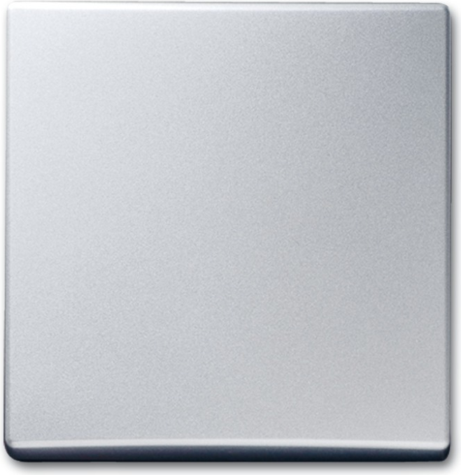 BUSCH-JAEGER Wippe Wechsel 2106-33 AW44 alusilber 2106-33 (2106-33)