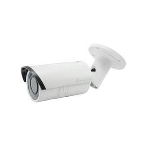 LevelOne FCS-5060 Netzwerk-Überwachungskamera (FCS-5060)