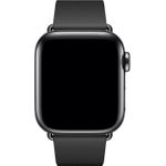 Apple 40mm Modern Buckle (MWRF2ZM/A)