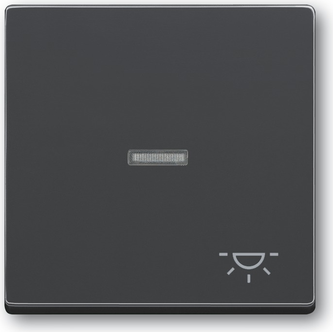 Busch-Jaeger 1751-0-2931. Steuerung: Knöpfe, Produktfarbe: Anthrazit. Breite: 63 mm, Höhe: 63 mm. Menge pro Packung: 1 Stück(e) (1751-0-2931)