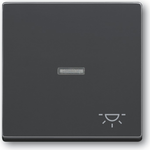 Busch-Jaeger 1751-0-2931. Steuerung: Knöpfe, Produktfarbe: Anthrazit. Breite: 63 mm, Höhe: 63 mm. Menge pro Packung: 1 Stück(e) (1751-0-2931)