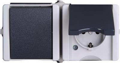 Kombination waagerecht Schalter/Schutzkontaktsteckdose AP-Feuchtraum proAQA grau (139456006)