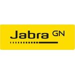 Jabra Control IP Microsoft Teams Rooms (8011-239)