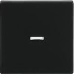 Busch-Jaeger Wippe schwarz matt 1789 N-885 (2CKA001751A3154)