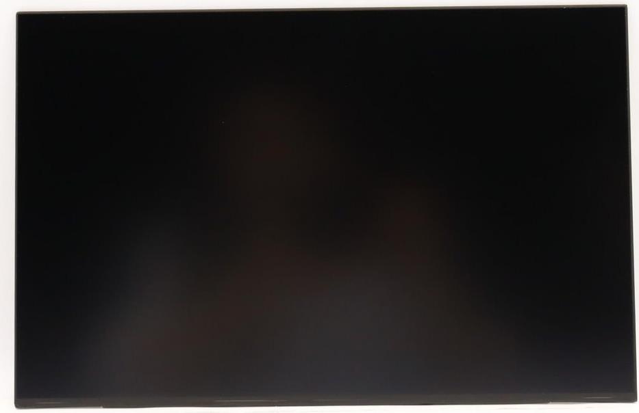 Lenovo DISPLAY INX 14.0 WUXGA AG (5D10V82396)