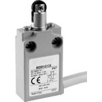 Panasonic Endschalter 24 V 5 A Rollenstößel drehbar MEM1G12ZD IP67 1 St. (MEM1G12ZD)