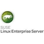 Hewlett Packard Enterprise SuSE Linux Enterprise Server (S3R56AAE)