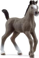 Schleich Horse Club 13957 Cheval de Selle Francais Fohlen (13957)