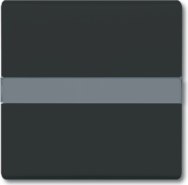 Busch Jaeger 2106 N-35 Schwarz (1731-0-1718)