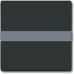 Busch Jaeger 2106 N-35 Schwarz (1731-0-1718)