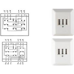 Dosen TAE 2x6/6 NF/F Aufputz perlweiß *shiverpeaks* basic* (BS74050W)
