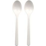 50 PAPSTAR Mehrweg-Löffel Kunststoff (96432)