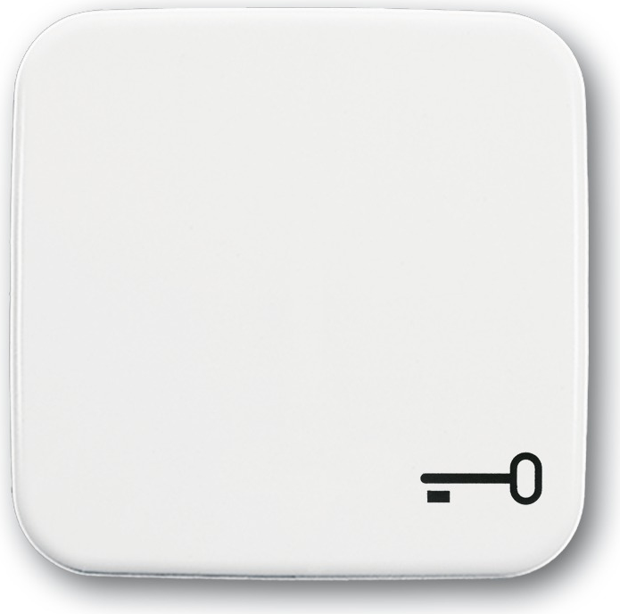 BUSCH-JAEGER Wippe Symbol Schlüssel 2520TR-214 Reflex SI alpinweiss 2520TR-214 (1731-0-0959)